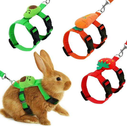 Lapin roux portant un harnais en H vert à motif avocat, et les trois motifs disponibles
