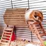 Tunnel en bois suspendu à la grille d'une cage par son crochet