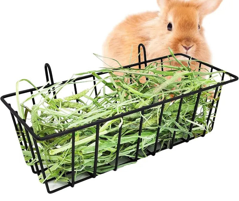 Lapin roux derrière un râtelier métallique garni, suspendu aux barreaux de sa cage