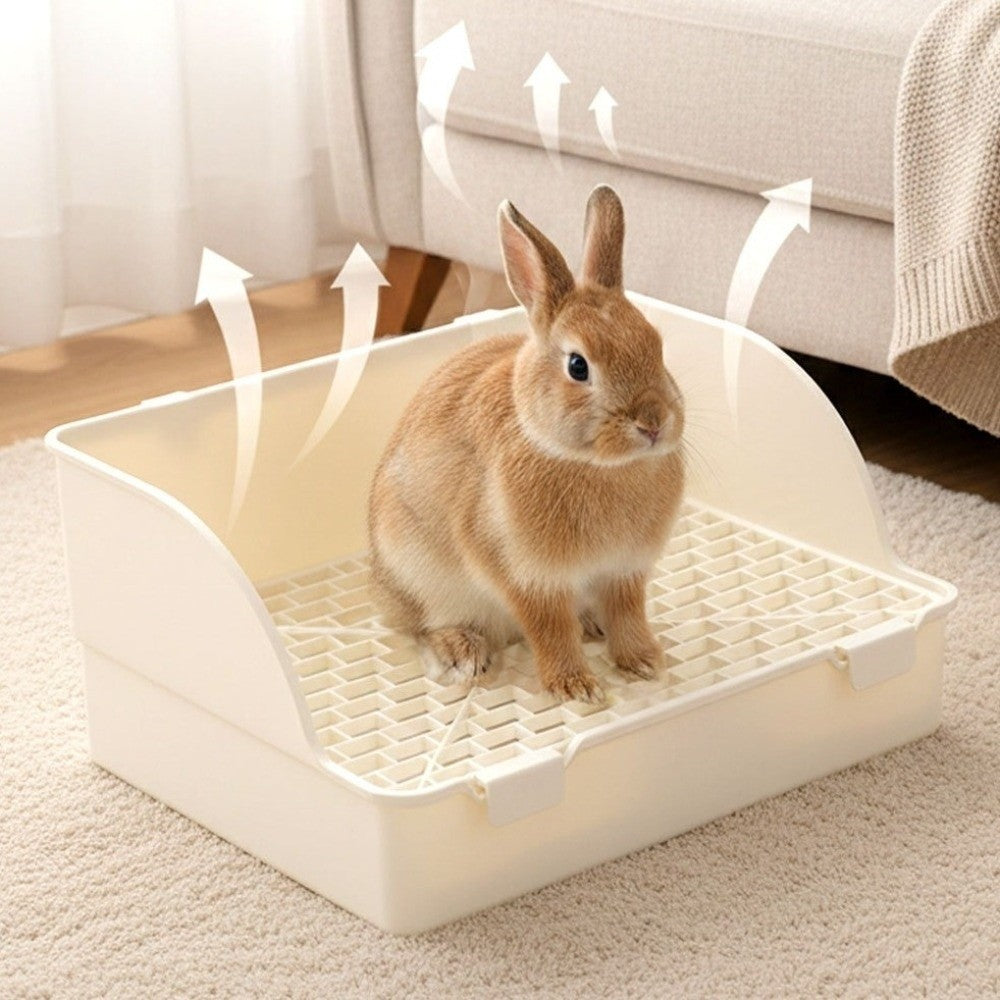 Lapin roux debout dans un bac à litière beige à dos et flancs relevés
