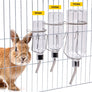 Lapin roux devant trois biberons de 180, 350 et 750 ml accrochés aux barreaux