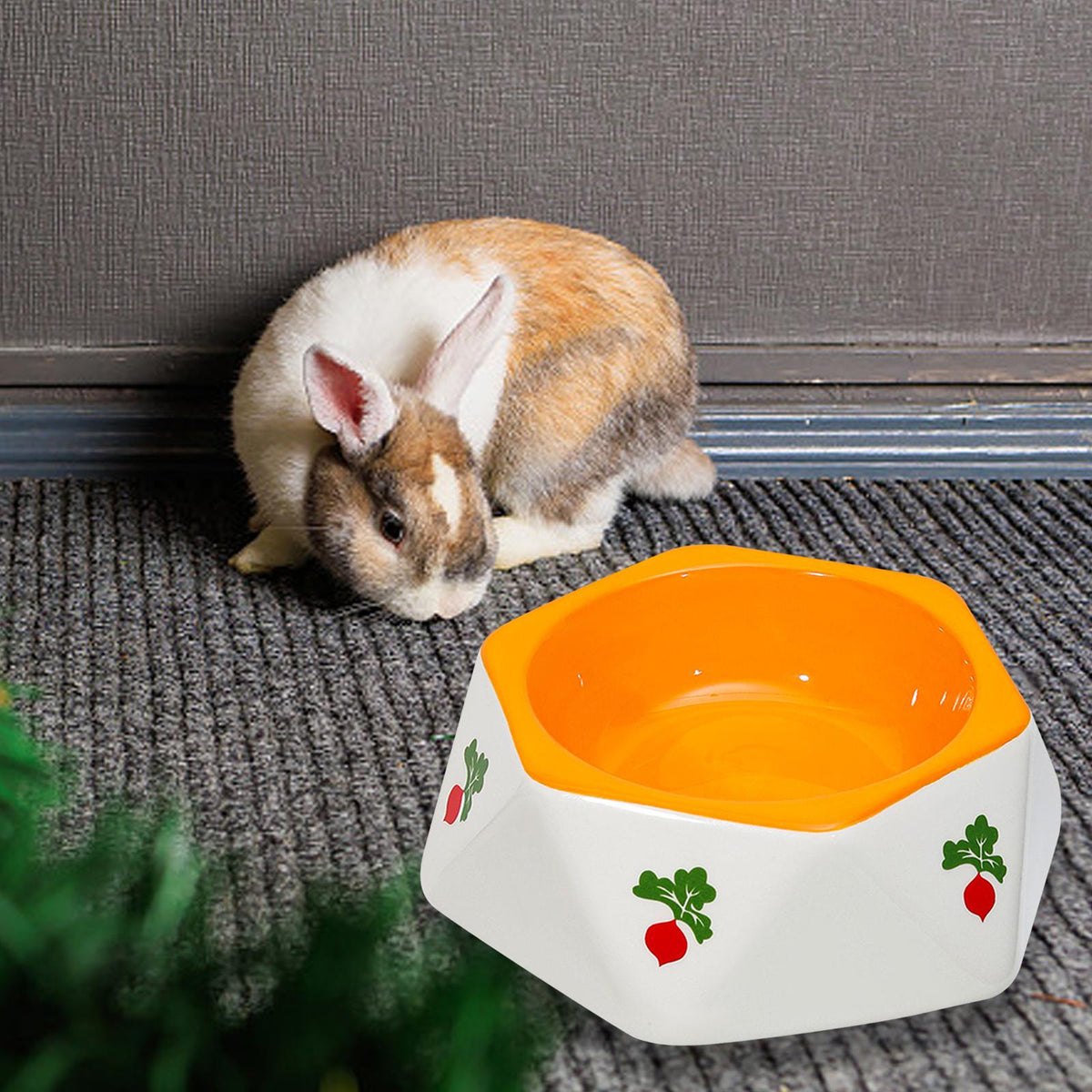 Lapin bélier près d'une gamelle en céramique hexagonale à motif radis, intérieur orange