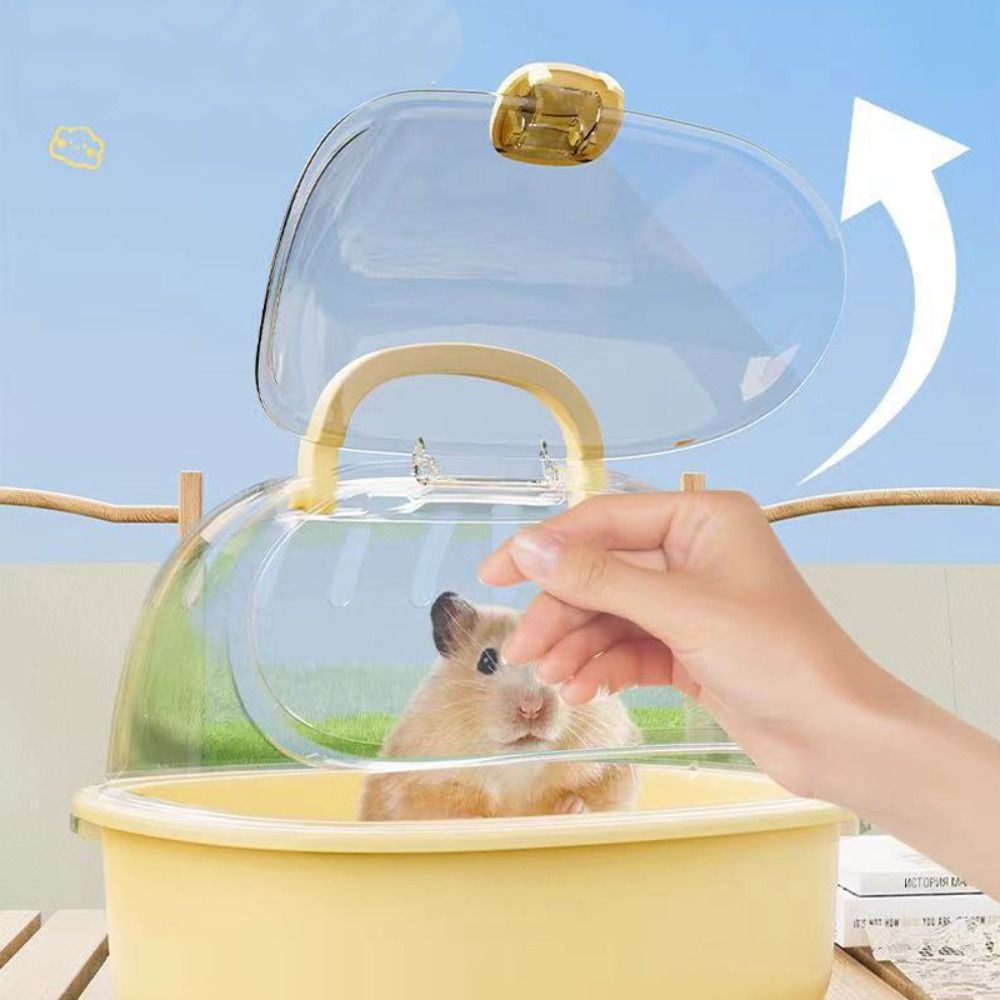 Hamster nourri à la main dans la boîte, couvercle relevé
