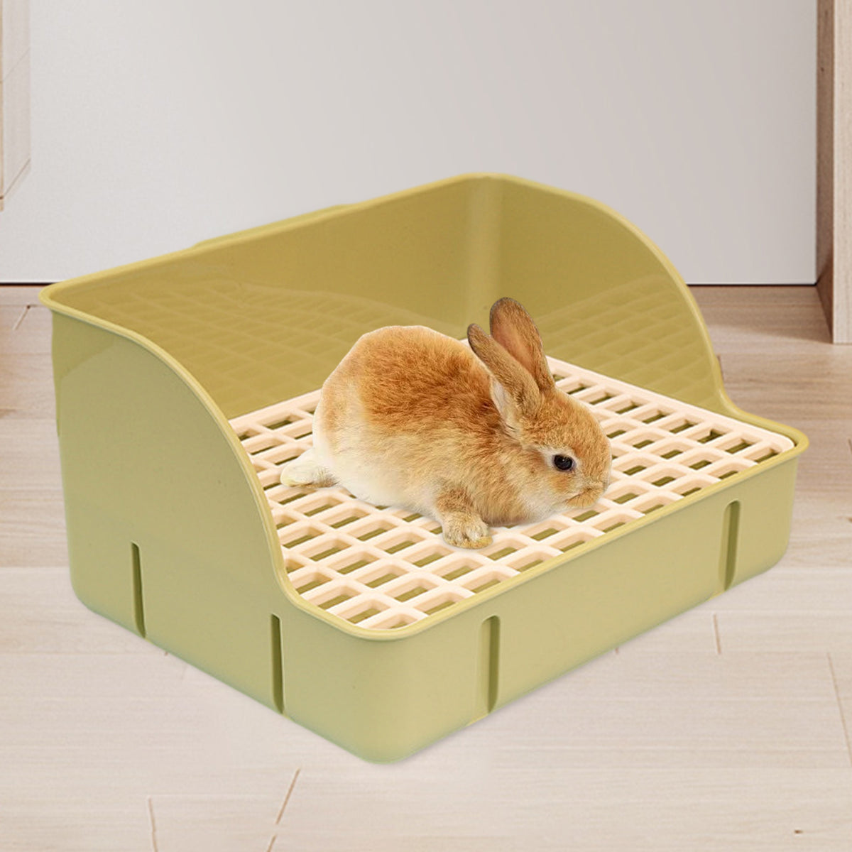 Lapin roux couché dans un bac à litière vert olive à dos arrondi