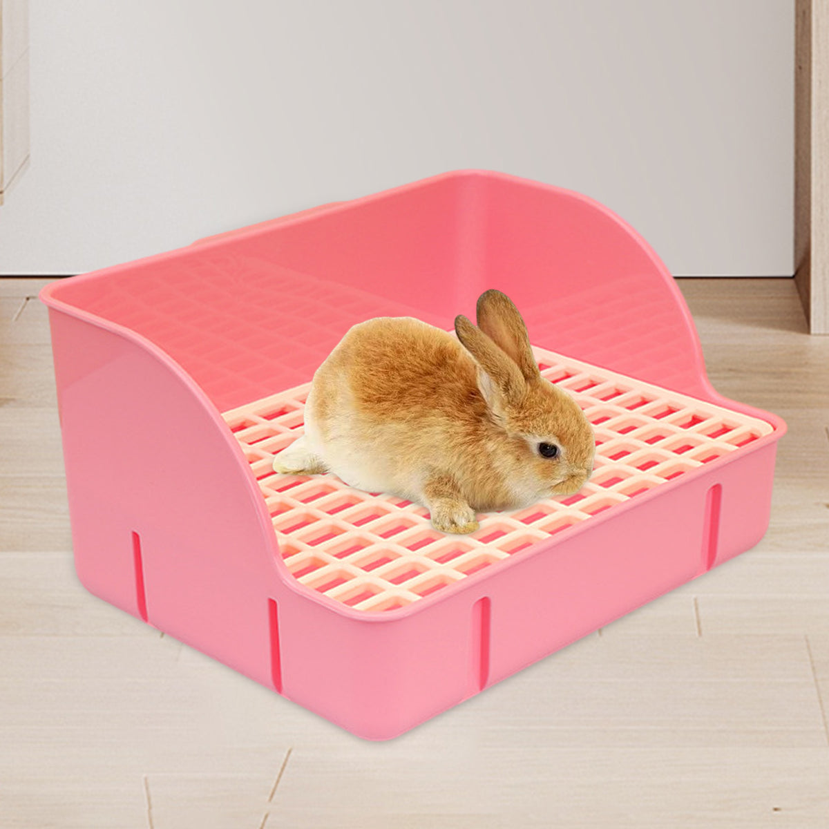 Lapin roux couché dans un bac à litière rose à dos arrondi