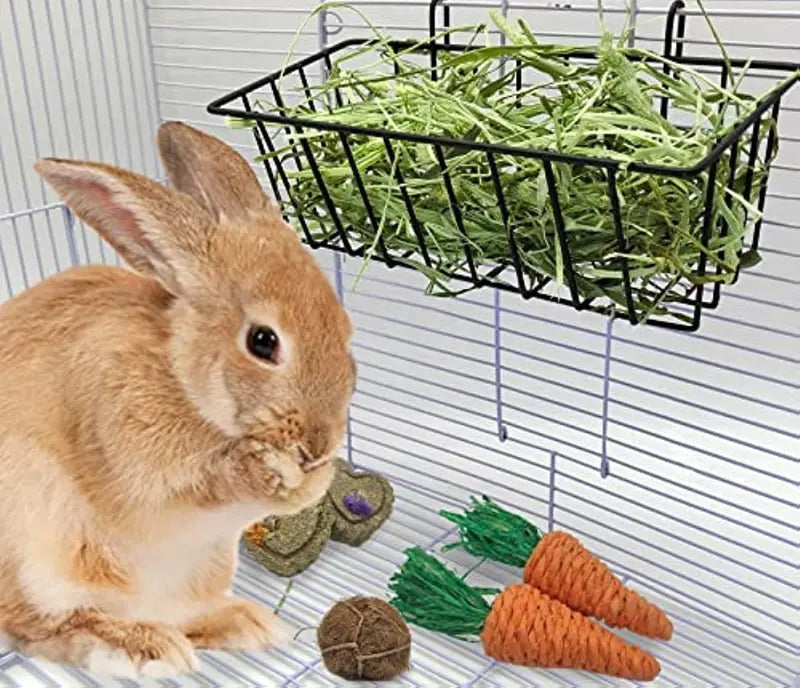 Lapin roux mangeant sous un râtelier métallique accroché à la paroi de la cage