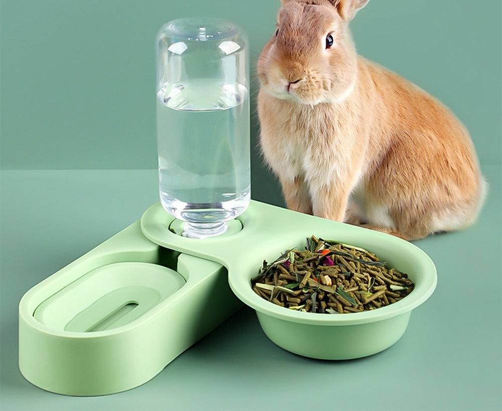 Lapin roux assis derrière une station repas verte à deux compartiments, bouteille d'eau et bol de granulés