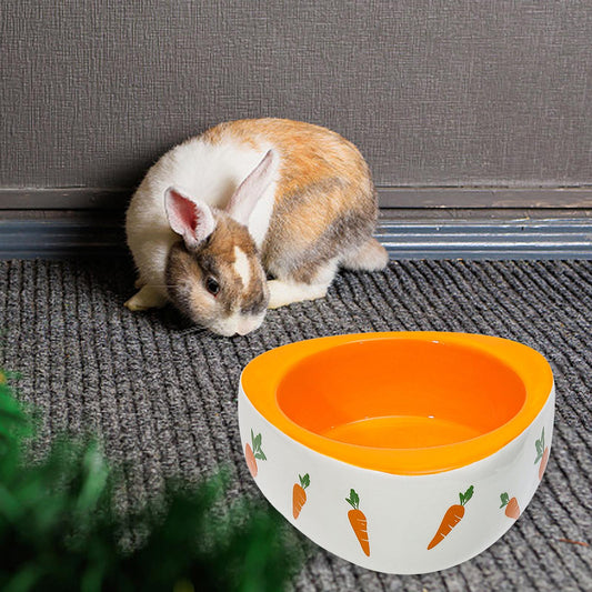 Lapin bélier assis à côté d'une gamelle en céramique blanche à motif carotte, intérieur orange