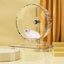Hamster courant dans une roue transparente montée sur un socle rectangulaire