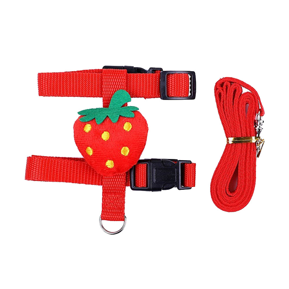 Harnais en H rouge à motif fraise avec sa laisse enroulée