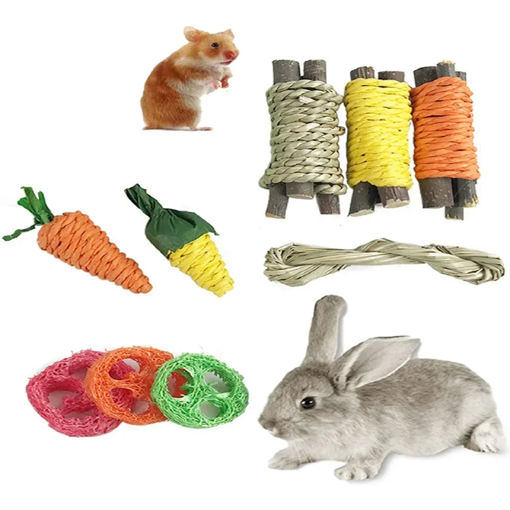 Lapin gris à côté des neuf pièces de l'ensemble, bâtonnets, carottes et rondelles