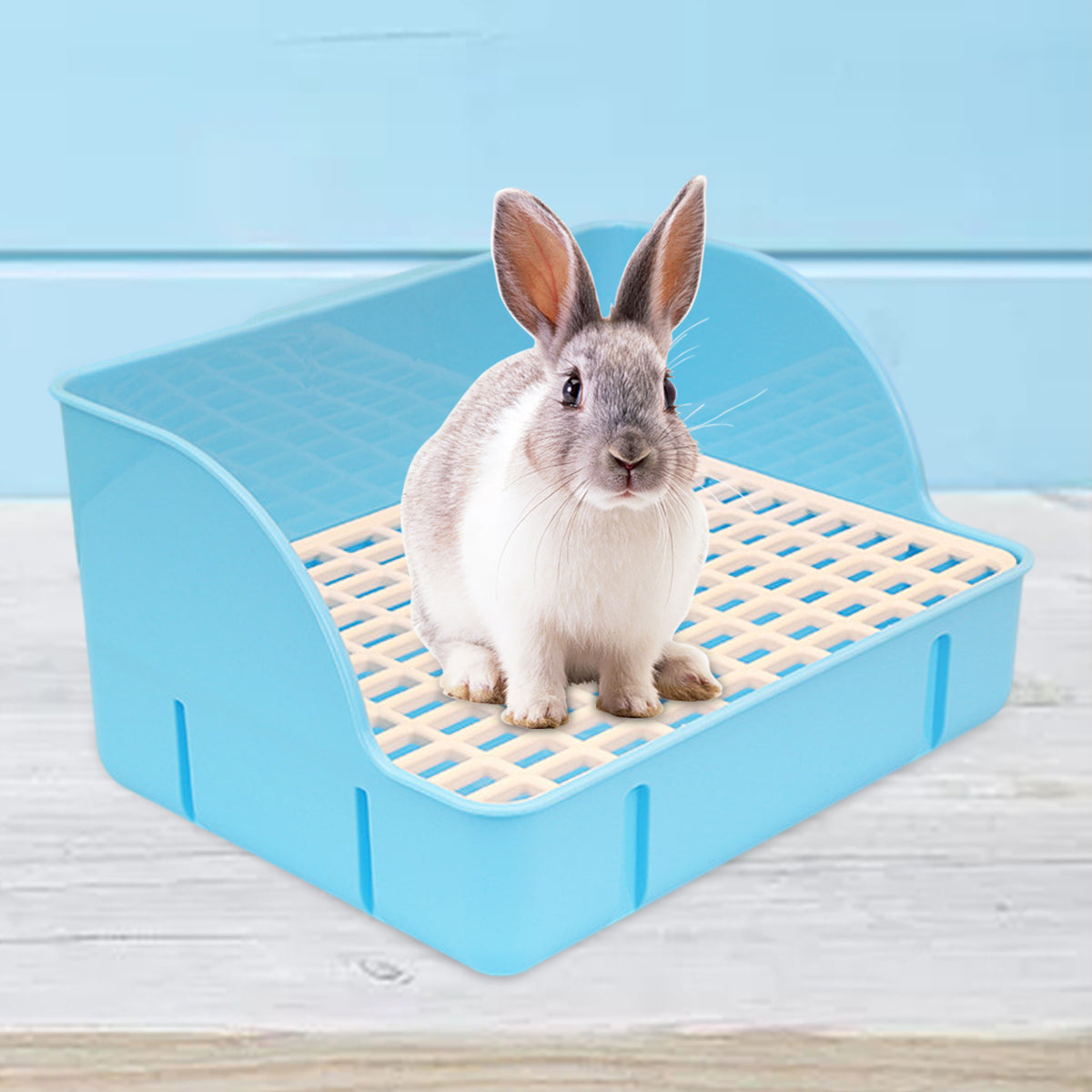 Lapin gris assis sur la grille d'un bac à litière bleu