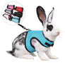 Lapin blanc tacheté portant un harnais en maille bleu ciel avec sa laisse