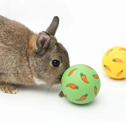 Lapin poussant du museau une balle à friandises verte, une balle jaune à côté