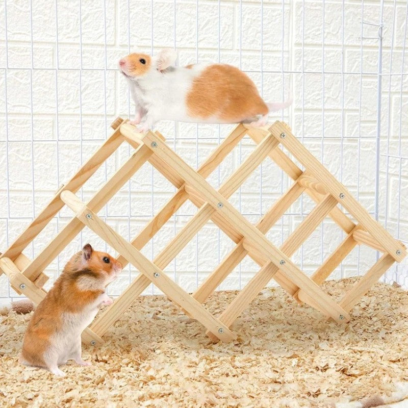 Structure d'escalade pliante en bois posée dans une cage, treillis de losanges