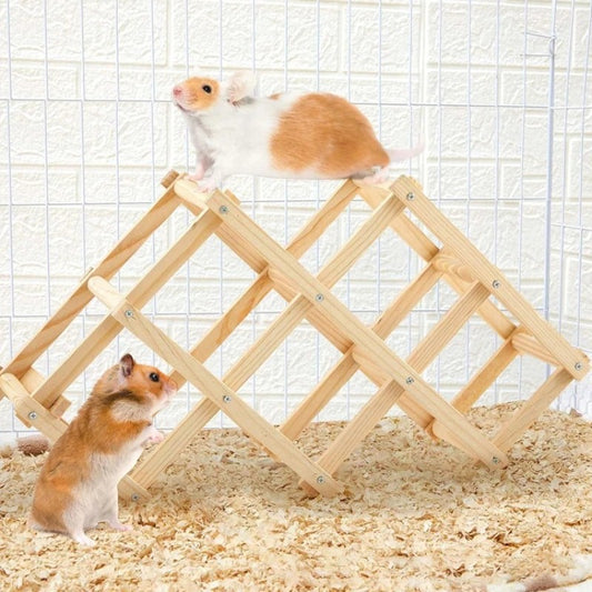 Structure d'escalade pliante en bois posée dans une cage, treillis de losanges