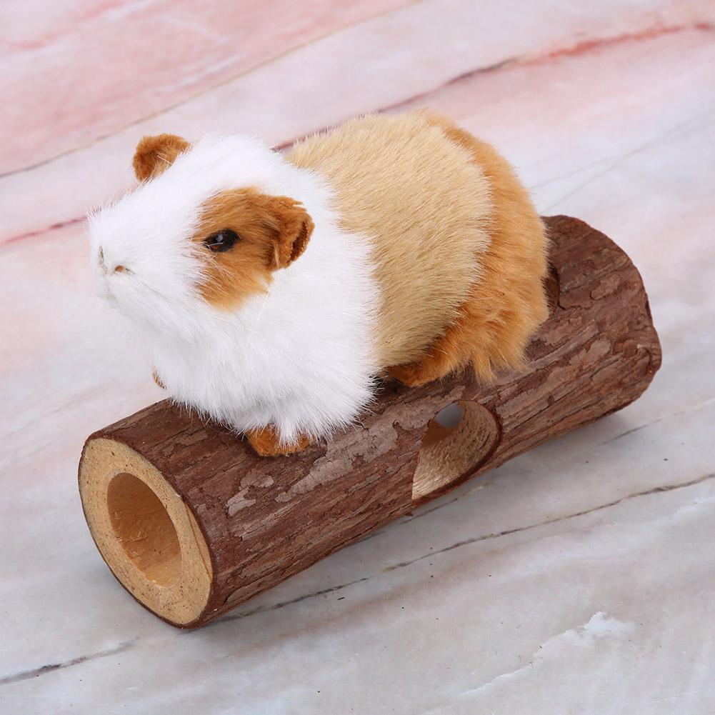 Cochon d'Inde blanc et roux posé sur un tunnel en bois