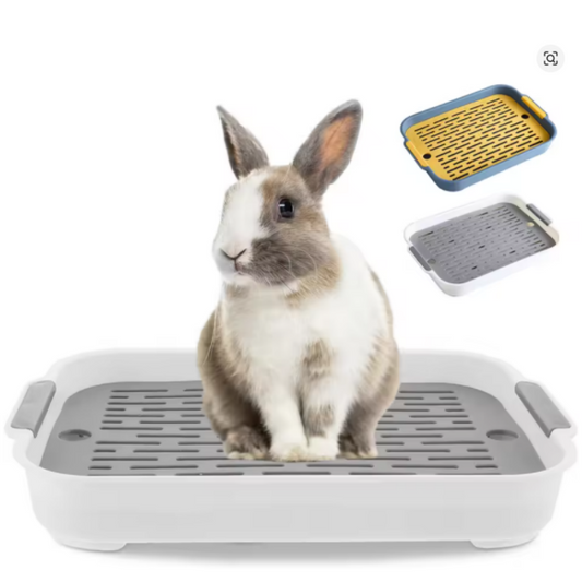 Lapin gris et blanc debout sur un plateau de litière blanc à grille grise