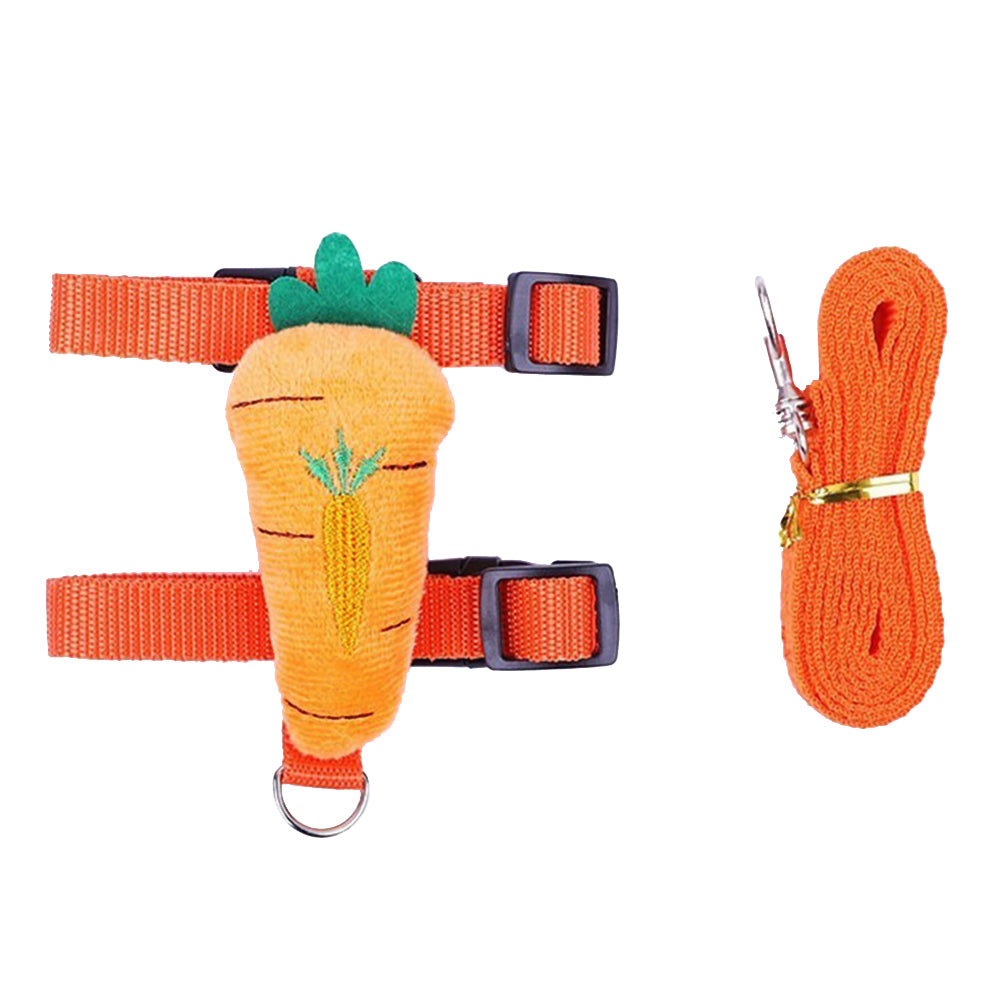 Harnais en H orange à motif carotte avec sa laisse