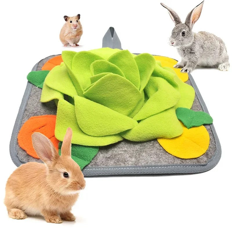 Deux lapins autour d'un tapis de fouille vert posé au sol