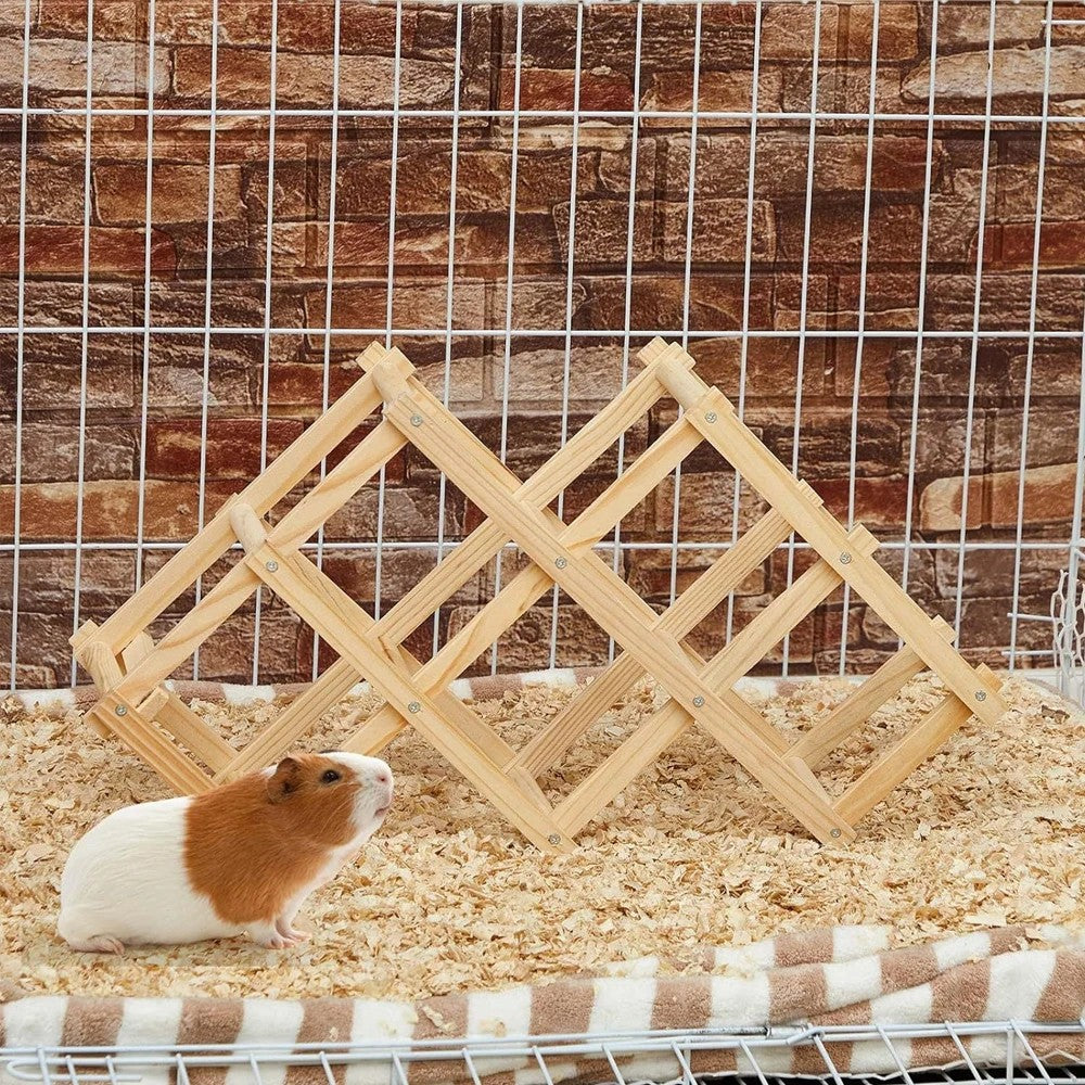 Structure pliante dépliée sur le substrat d'une cage, appuyée contre le grillage