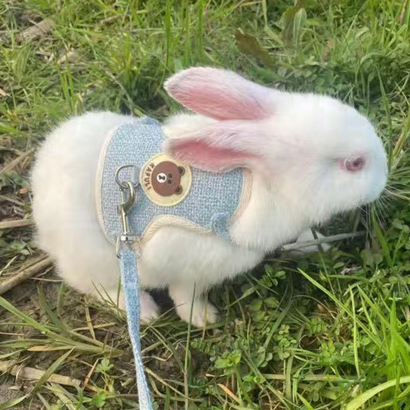 Lapin blanc portant un harnais en lin bleu jean, vu de dos